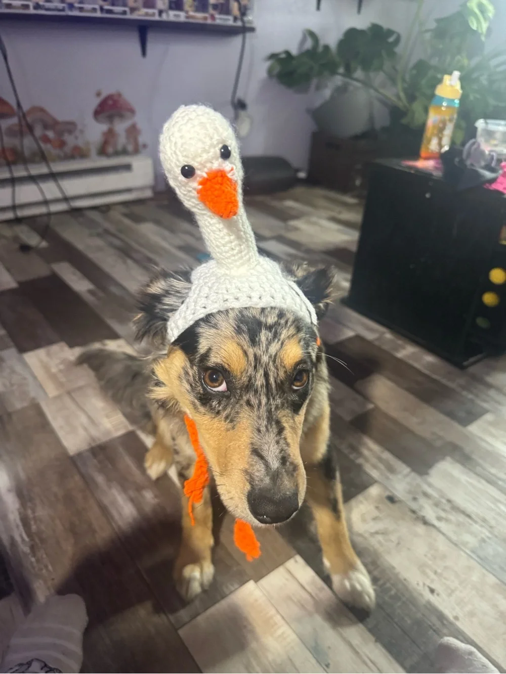 Handmade White & Orange Goose Knit Dog Hat - Cute Pet Costume